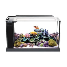 Charger l'image dans la galerie, Aquarium équipé EVO Fluval Sea, 19 L (5 gal US) - Boutique Le Jardin Des Animaux -AquariumBoutique Le Jardin Des Animaux10528