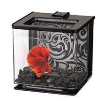 Charger l'image dans la galerie, Aquarium équipé EZ Care de 2,5L pour betta - Boutique Le Jardin Des Animaux -AquariumBoutique Le Jardin Des Animaux13358