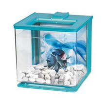 Charger l'image dans la galerie, Aquarium équipé EZ Care Marina pour betta, bleu, 2,5 L (0,7 gal US) - Boutique Le Jardin Des Animaux -AquariumBoutique Le Jardin Des Animaux13359