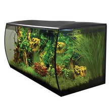 Charger l'image dans la galerie, Aquarium équipé FLEX Fluval, noir, 123 L (32,5 gal US) - Boutique Le Jardin Des Animaux -AquariumBoutique Le Jardin Des Animaux14995