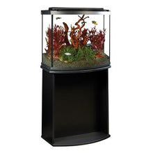 Charger l'image dans la galerie, Aquarium équipé haut de gamme 26 Fluval à devant arrondi avec éclairage à DEL, 98 L (26 gal US) - Boutique Le Jardin Des Animaux -AquariumBoutique Le Jardin Des Animaux15227