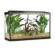 Charger l'image dans la galerie, Aquarium équipé haut de gamme 29 haut Fluval avec éclairage à DEL, 110 L (29 gal US) - Boutique Le Jardin Des Animaux -AquariumBoutique Le Jardin Des Animaux15207