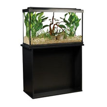 Charger l'image dans la galerie, Aquarium équipé haut de gamme 29 haut Fluval avec éclairage à DEL, 110 L (29 gal US) - Boutique Le Jardin Des Animaux -AquariumBoutique Le Jardin Des Animaux15207