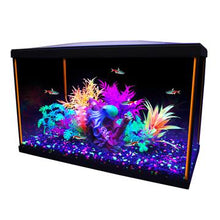 Charger l'image dans la galerie, Aquarium équipé iGlo Marina, 38 L (10 gal US) - Boutique Le Jardin Des Animaux -AquariumBoutique Le Jardin Des Animaux15257