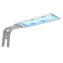 Charger l'image dans la galerie, Aquarium équipé SPEC Fluval, noir, 10 L (2,6 gal US) - Boutique Le Jardin Des Animaux -AquariumBoutique Le Jardin Des Animaux10515