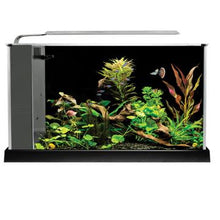 Charger l'image dans la galerie, Aquarium équipé SPEC Fluval, noir, 19 L (5 gal US) - Boutique Le Jardin Des Animaux -AquariumBoutique Le Jardin Des Animaux10516