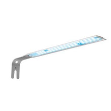 Charger l'image dans la galerie, Aquarium équipé SPEC Fluval, noir, 19 L (5 gal US) - Boutique Le Jardin Des Animaux -AquariumBoutique Le Jardin Des Animaux10516