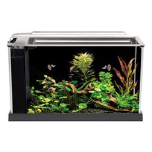 Charger l'image dans la galerie, Aquarium équipé SPEC Fluval, noir, 19 L (5 gal US) - Boutique Le Jardin Des Animaux -AquariumBoutique Le Jardin Des Animaux10516