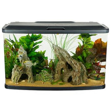 Charger l'image dans la galerie, Aquarium équipé Vista Fluval, 87 L (23 gal US) - Boutique Le Jardin Des Animaux -AquariumBoutique Le Jardin Des Animaux15248