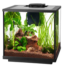 Charger l'image dans la galerie, Aquarium pour crevette avec DEL, AQUEON 7,5 gal. - Boutique Le Jardin Des Animaux -AquariumBoutique Le Jardin Des Animaux73912