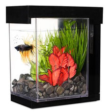 Charger l'image dans la galerie, Aquarium Style Marina pour betta, noir, 3,7 L (1 gal US) - Boutique Le Jardin Des Animaux -AquariumBoutique Le Jardin Des Animaux13367