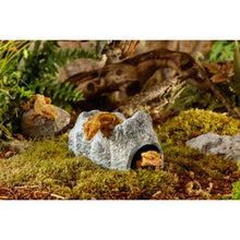 Load image into Gallery viewer, Cachettes Wet Cave Exo Terra, grotte céramique hygroscopique, grand - Boutique Le Jardin Des Animaux -DécorationBoutique Le Jardin Des AnimauxPT3173