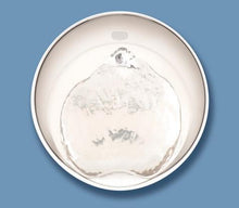 Charger l'image dans la galerie, Catit PIXI abreuvoir pour chat intelligent avec appli de contrôle à distance - Boutique Le Jardin Des Animaux -AbreuvoirBoutique Le Jardin Des Animaux43751