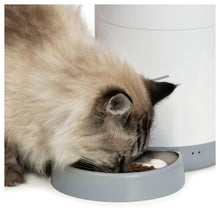 Charger l'image dans la galerie, Catit PIXI Distributeur intelligent avec appli de contrôle à distance - Boutique Le Jardin Des Animaux -AbreuvoirBoutique Le Jardin Des Animaux43752