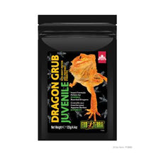 Load image into Gallery viewer, Granulés Dragon Grub Exo Terra à base d’insectes pour Dragon barbu juvénile - Boutique Le Jardin Des Animaux -nourriture reptileBoutique Le Jardin Des AnimauxPT3265