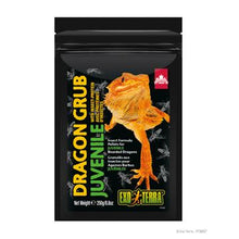 Load image into Gallery viewer, Granulés Dragon Grub Exo Terra à base d’insectes pour Dragon barbu juvénile - Boutique Le Jardin Des Animaux -nourriture reptileBoutique Le Jardin Des AnimauxPT3267