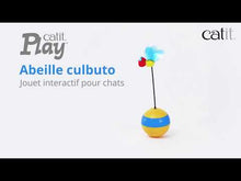 Load and play video in Gallery viewer, Catit Play 2.0 Rollover Bee