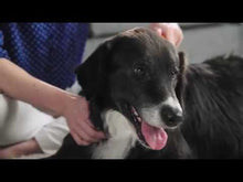 Charger et lire la vidéo dans la visionneuse de la Galerie, FURminator peigne lame pour le sous-poils chien poil long