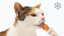 Load image into Gallery viewer, Jouet pour chat poisson dansant + 2 tubes Catit Creamy - Boutique Le Jardin Des Animaux -Jouet chatBoutique Le Jardin Des Animauxvp1568 + Creamy