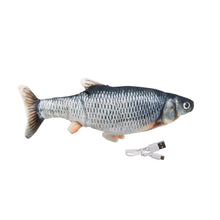 Charger l'image dans la galerie, Jouet pour chat poisson dansant - Boutique Le Jardin Des Animaux -Jouet chatBoutique Le Jardin Des Animauxvp1568