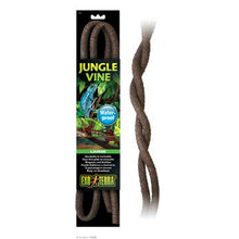 Load image into Gallery viewer, Liane pliante Jungle Vine Exo Terra, grande - Boutique Le Jardin Des Animaux -DécorationBoutique Le Jardin Des AnimauxPT3086