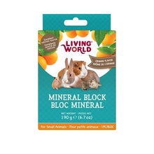 Load image into Gallery viewer, Living World bloc minéraux arôme d'orange 40g pour petits animaux - Boutique Le Jardin Des Animaux -Gâterie petit mammifèreBoutique Le Jardin Des Animaux60498
