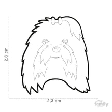 Charger l'image dans la galerie, Médaille pour chien collection Friends, BICHON MALTAIS - Boutique Le Jardin Des Animaux -médailleBoutique Le Jardin Des AnimauxMF33