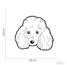 Charger l'image dans la galerie, Médaille pour chien collection Friends, CANICHE, Couleurs variées - Boutique Le Jardin Des Animaux -médailleBoutique Le Jardin Des AnimauxMF20BLACK