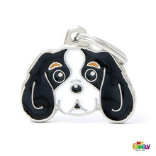 Charger l'image dans la galerie, Médaille pour chien collection Friends, CAVALIER KING, Couleurs variées - Boutique Le Jardin Des Animaux -médailleBoutique Le Jardin Des AnimauxMF22COLORED3