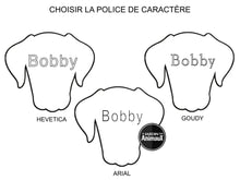 Charger l'image dans la galerie, Médaille pour chien collection Friends, DALMATIEN - Boutique Le Jardin Des Animaux -médailleBoutique Le Jardin Des AnimauxMF08