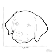 Charger l'image dans la galerie, Médaille pour chien collection Friends, GOLDEN RETRIEVER - Boutique Le Jardin Des Animaux -médailleBoutique Le Jardin Des AnimauxMF30