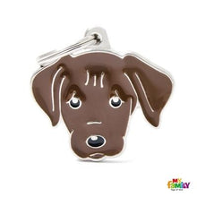 Charger l'image dans la galerie, Médaille pour chien collection Friends, LABRADOR, Couleurs variées - Boutique Le Jardin Des Animaux -médailleBoutique Le Jardin Des AnimauxMF31CHOCOLATE