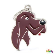 Charger l'image dans la galerie, Médaille pour chien collection Friends, SETTER, Couleurs variées - Boutique Le Jardin Des Animaux -médailleBoutique Le Jardin Des AnimauxMF28ENGLISH