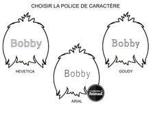 Charger l'image dans la galerie, Médaille pour chien collection Friends, SHIH TZU, Couleurs variées - Boutique Le Jardin Des Animaux -médailleBoutique Le Jardin Des AnimauxMF16GREY