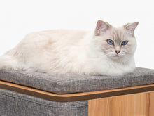 Load image into Gallery viewer, Meuble Cubo Tower Vesper – gris, arbre à chat - Boutique Le Jardin Des Animaux -Griffoir, meuble et litBoutique Le Jardin Des Animaux52094