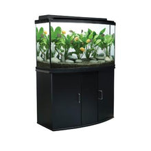 Charger l'image dans la galerie, Meuble pour aquarium équipé (45 à devant arrondi), 170 L (45 gal US), noir - Boutique Le Jardin Des Animaux -meuble aquariumBoutique Le Jardin Des Animaux15768