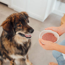 Charger l'image dans la galerie, Nourriture crue pour chien Faim Museau - Canard & Agneau - Boutique Le Jardin Des Animaux -Nourriture chienBoutique Le Jardin Des Animaux