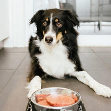 Charger l'image dans la galerie, Nourriture crue pour chien Faim Museau - Simplement Dinde - Boutique Le Jardin Des Animaux -Nourriture chienBoutique Le Jardin Des AnimauxECHDINDE