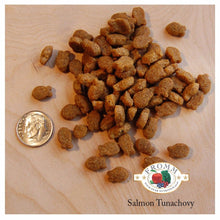 Load image into Gallery viewer, Nourriture Fromm Four Stars chat Sans Grains Saumon Tunachovy - Boutique Le Jardin Des Animaux -Nourriture chatBoutique Le Jardin Des Animaux-11716