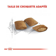 Charger l'image dans la galerie, Nourriture Royal Canin pour Chat agé de 12 ans et plus - Boutique Le Jardin Des Animaux -Nourriture chatBoutique Le Jardin Des AnimauxRCFA060