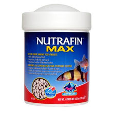 Charger l'image dans la galerie, Nutrafin Max comprimés qui s'enfoncent pour poissons de fond - Boutique Le Jardin Des Animaux -Nourriture PoissonBoutique Le Jardin Des Animauxa6752