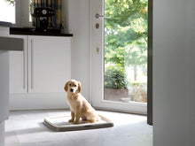 Charger l'image dans la galerie, Savic ensemble de départ d’entraînement pour chien large - Boutique Le Jardin Des Animaux -entrainement proprrtéBoutique Le Jardin Des Animauxd-3241