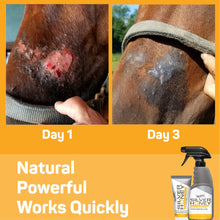 Charger l'image dans la galerie, Silver Honey - pour une réparation rapide des plaies 8oz - Absorbine - Boutique Le Jardin Des Animaux -Boutique Le Jardin Des AnimauxSHY45101