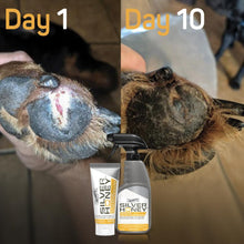 Charger l'image dans la galerie, Silver Honey - pour une réparation rapide des plaies 8oz - Absorbine - Boutique Le Jardin Des Animaux -Boutique Le Jardin Des AnimauxSHY45101