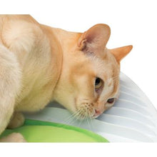 Charger l'image dans la galerie, Station de bien-être Senses Catit 2.0 - Boutique Le Jardin Des Animaux -Jouet chatBoutique Le Jardin Des Animaux43153W