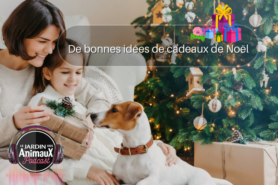 Cadeaux de Noël pour les propriétaires d'animaux