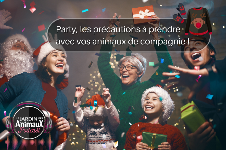 Les dangers du temps des Fêtes ou lors de réception pour vos animaux !