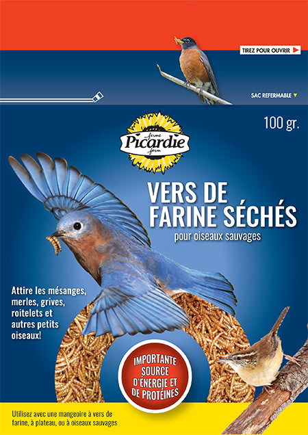 PICARDIE VERS DE FARINE 100GR