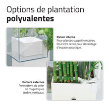 Load image into Gallery viewer, Aquarium équipé Fluval Kühl pour l’aménagement miniature et aquaponie, 8 L (2,1 gal US), blanc
