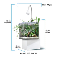 Load image into Gallery viewer, Aquarium équipé Fluval Kühl pour l’aménagement miniature et aquaponie, 8 L (2,1 gal US), blanc
